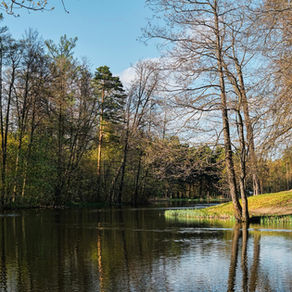 Exploring nature's ability to recharge your brain