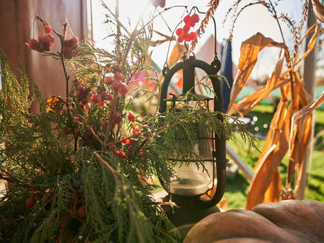 How to transform an ordinary garden into a small English estate: ideas from the world of English Garden & Antiques