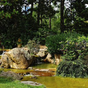 Creating a Timeless Garden That Stays Beautiful Through Every Season