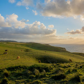 Coastal roadmap: 3 hidden gems for your summer escape