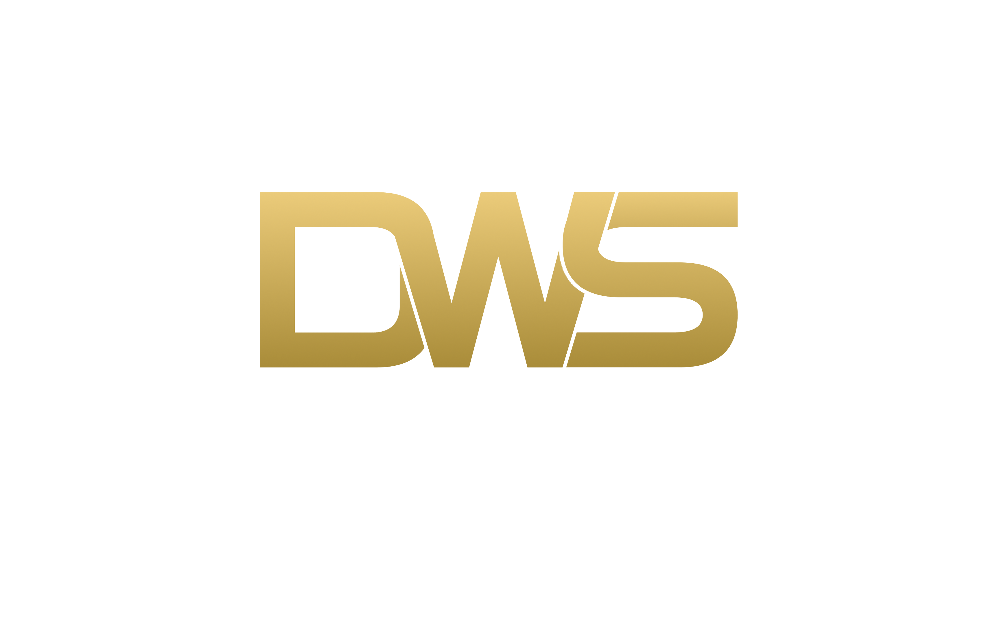 Logo_DWS_semfundo_01.png