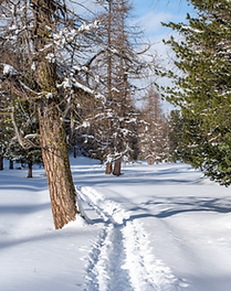 Screenshot 2025-07-14 151458.png