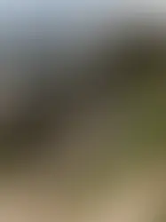 How Community-Led Initiatives Can Transform Cities Like Gurugram