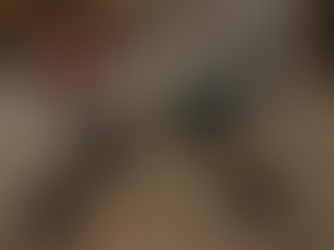 Plastic litter in a busy Gurugram market area highlighting urban pollution