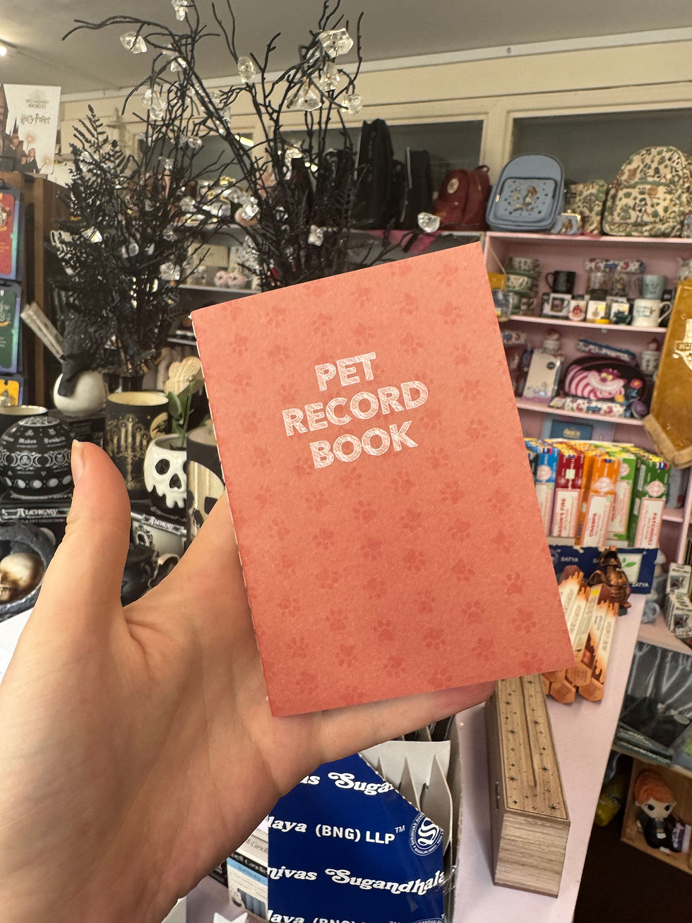 Thumbnail: Pet Record Softcover Journal 