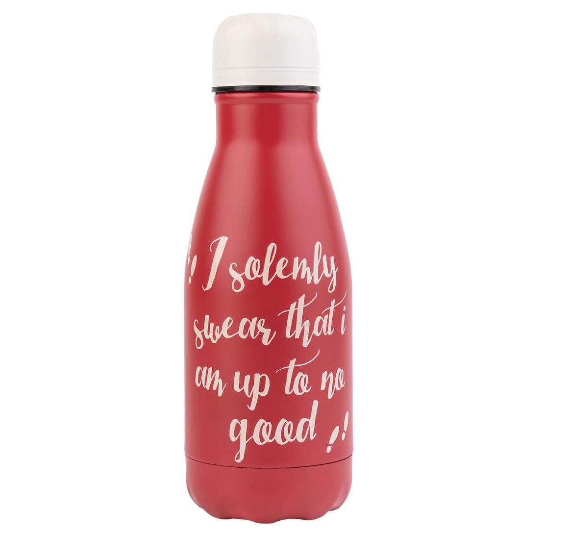 Harry Potter I Solemnly Swear 260ml Metal Water Bottle