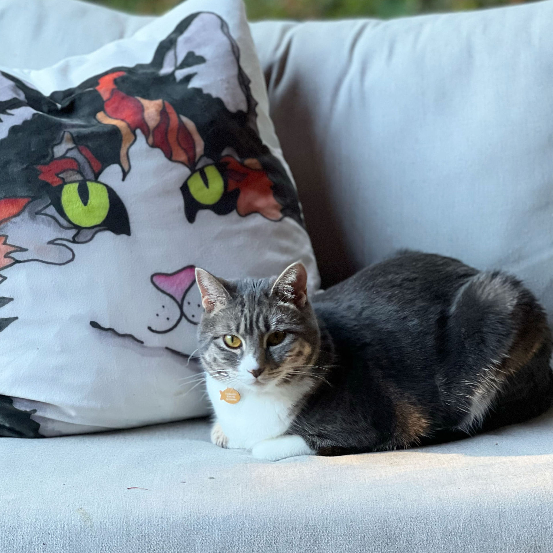 A gray and white cat lounging on a light-colored couch next to a pillow featuring a painted cat face with bright green eyes.