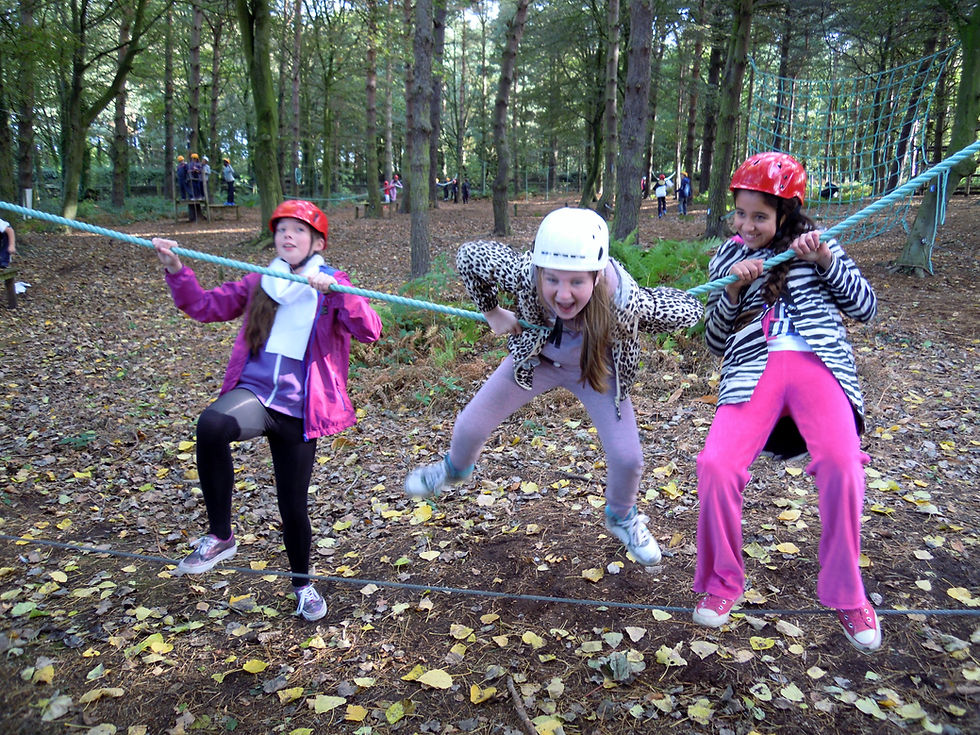 Low ropes course