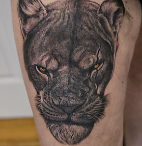 Realism Animal Portraits