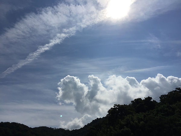 ๅคฉไฝฟใEngelใๅ
ใๆฅๅธธใฎๅฅ่ทกใๆฎ้ๅ ้ผ็ธ้ขๅผ็้ข