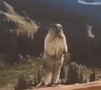 20220317_6232f240083c1.gif
