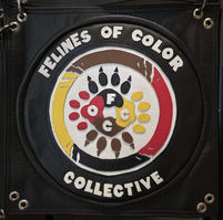 Felines of Color Collective (FoCC)