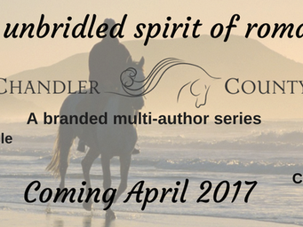 Revealing the Covers of Chandler County, Romantic Suspense at its Finest