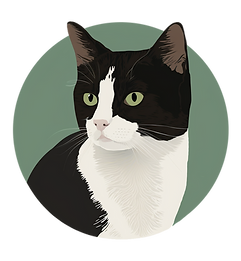 CATS Nemanja Stojoski