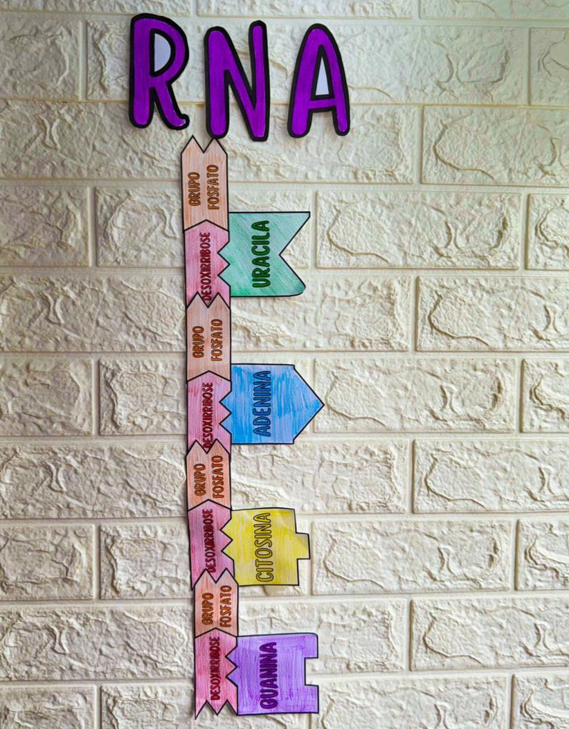 Miniatura: MURAL COLABORATIVO-DNA & RNA