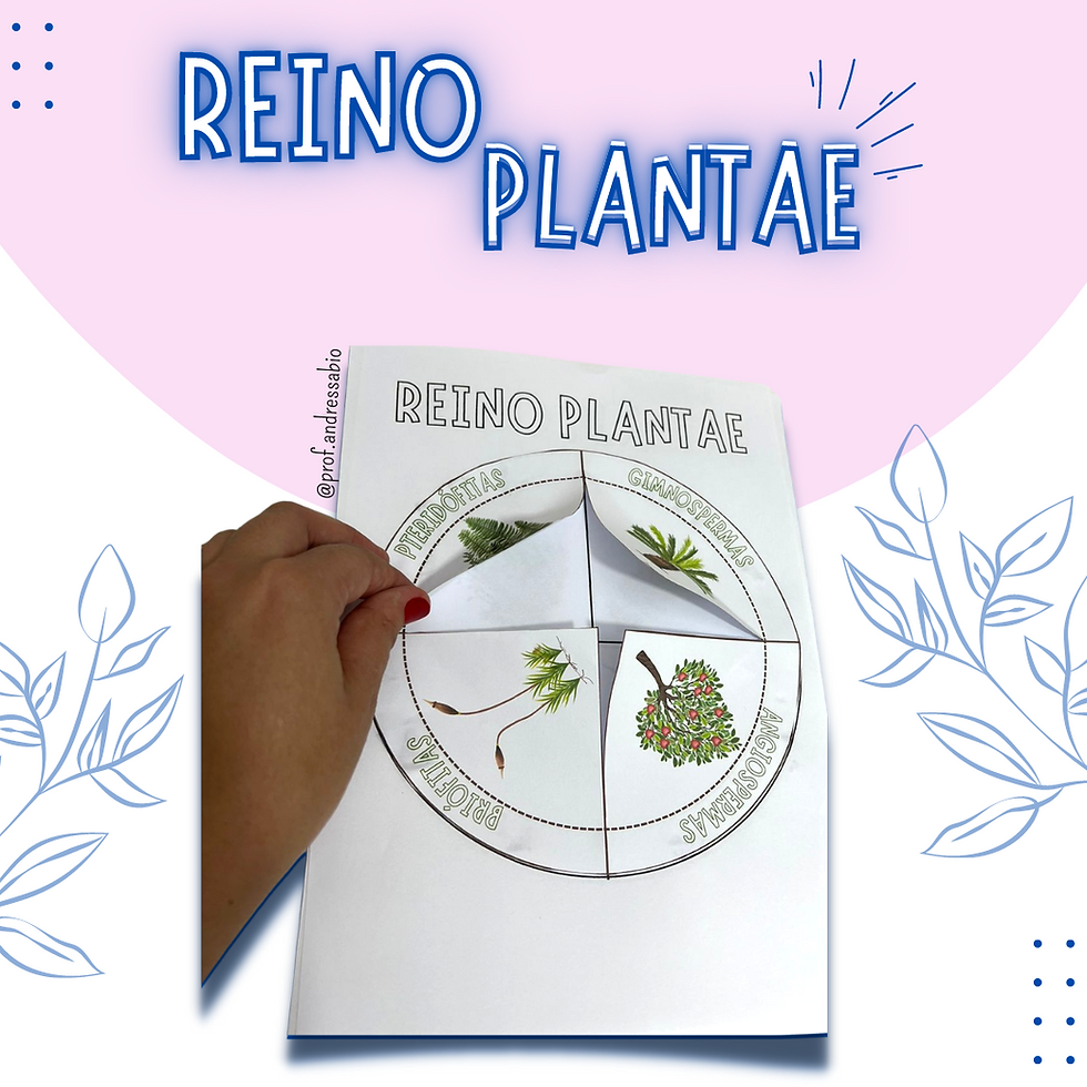 Miniatura: ATIVIDADE REINO PLANTAE