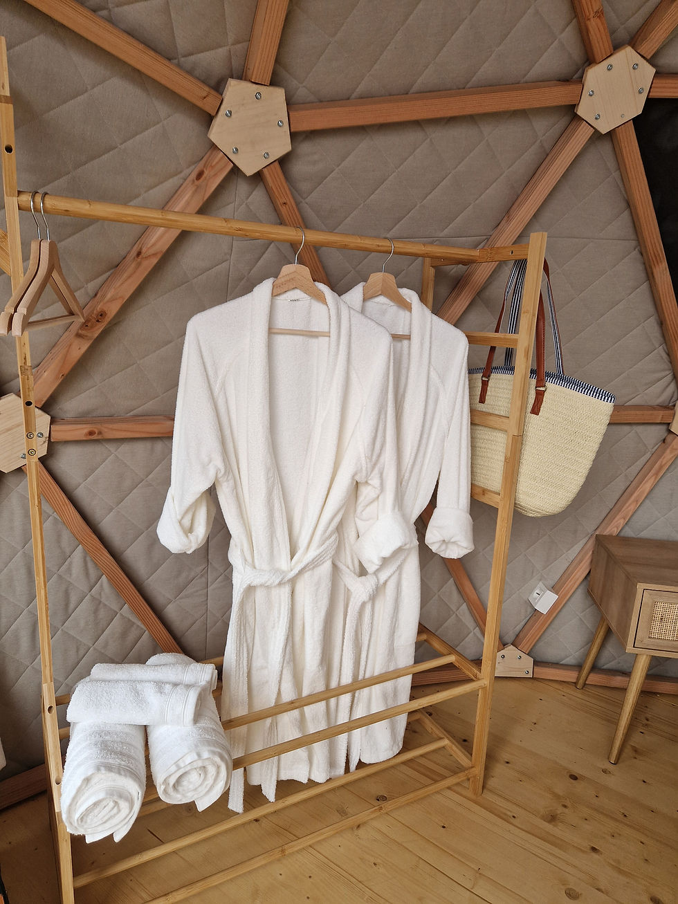 Dressing dome canard