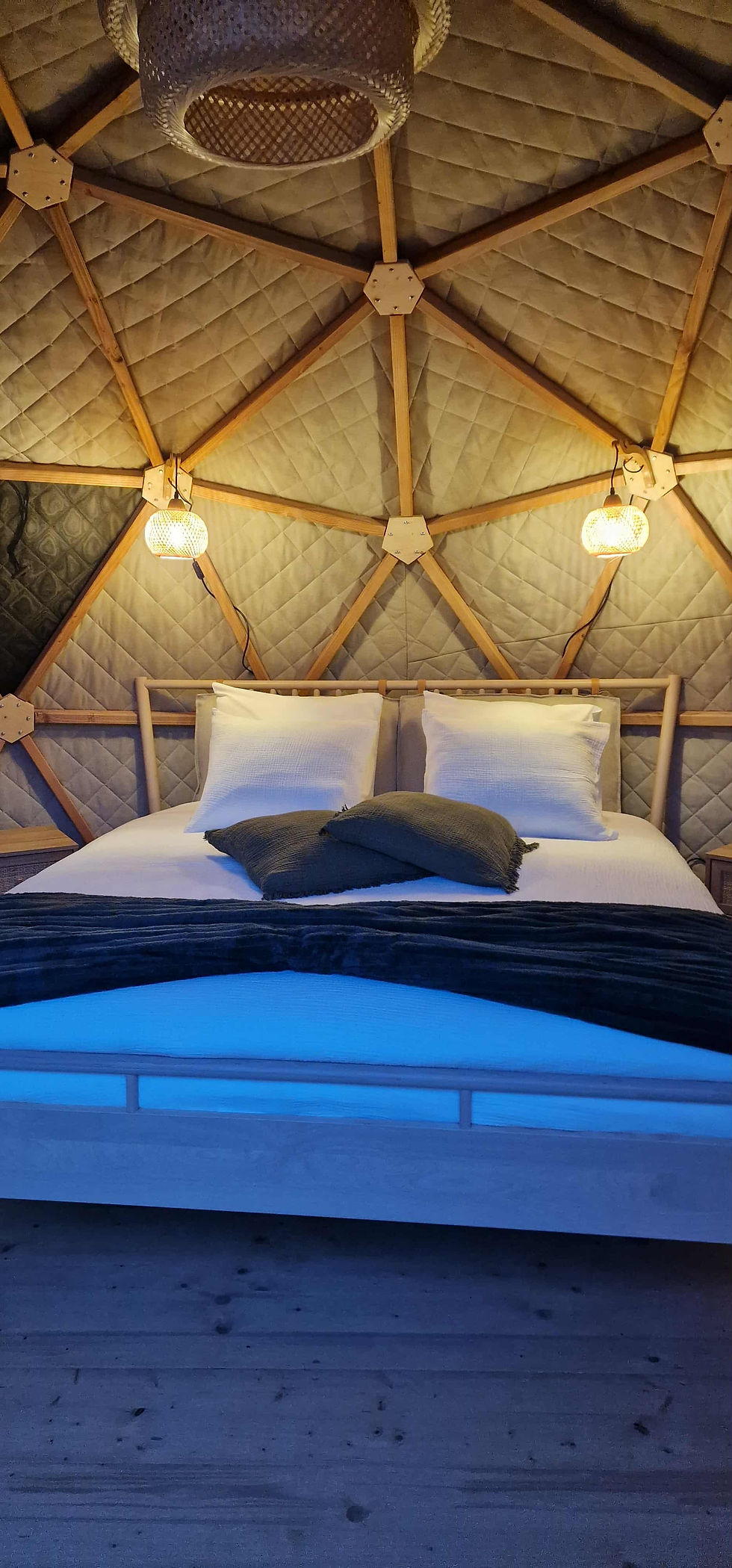 f3ecfc8b-bf92-48a1-afda-14a3da8bcae8