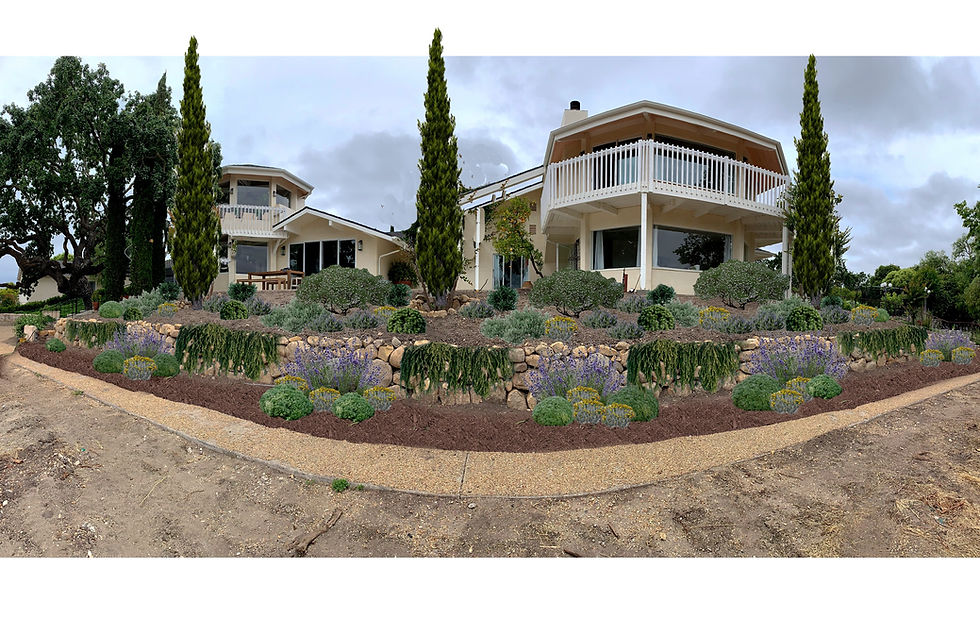 East View Backyard
