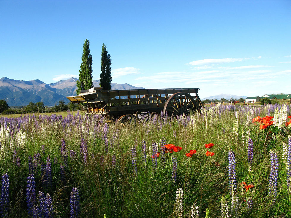 PATAGONIAN WAGON