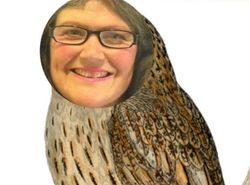 13071688_985205364866564_370094034238423