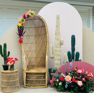 Wall party rentals chicago backdrop berwyn 