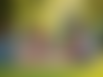 Why Choose Values-Driven Life Insurance for Your Family