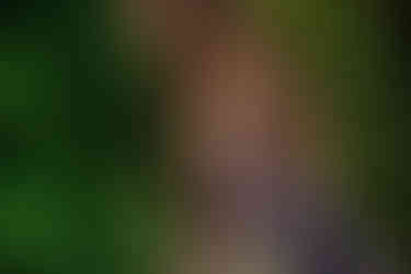 Omaha Senior Sitting on Ledge in Downtown Omaha