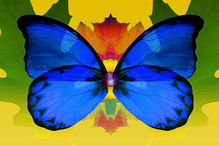 Imagination Blue Butterfly