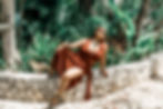 Thumbnail: Island Vibes Set