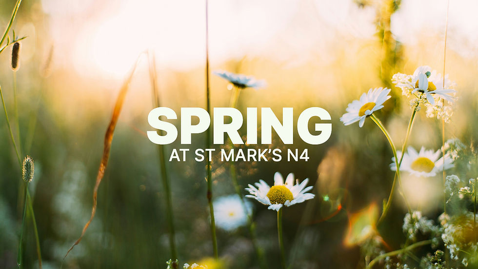 spring25_nl.jpg