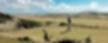 fullsizeoutput_7c74.jpeg