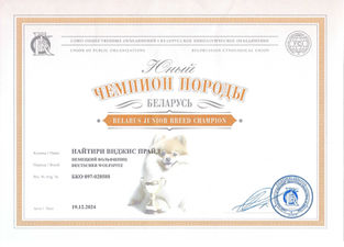 Belarus Championship Certificate