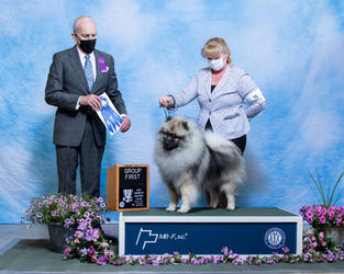 Ruckus the Keeshond, GCH Peregrine Causing a Commotion winning a group 1