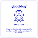 Good Dog Excellent Banner