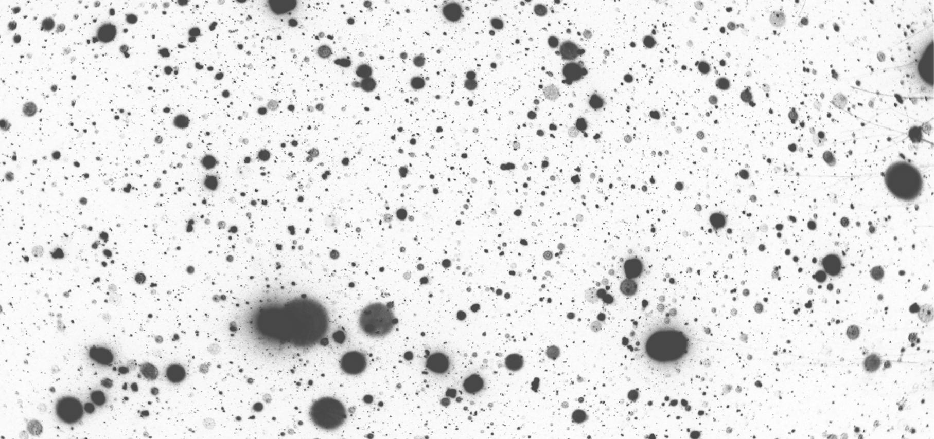 Design ohne Titel (4)_edited_edited_edit