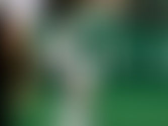 Traumtor ist drei Punkte wert