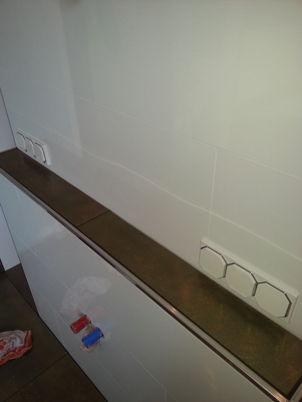 WP_20140206_014.jpg