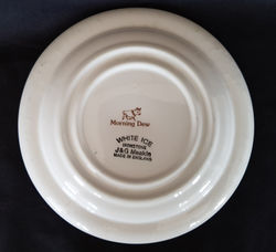 Morning Dew Plate Back