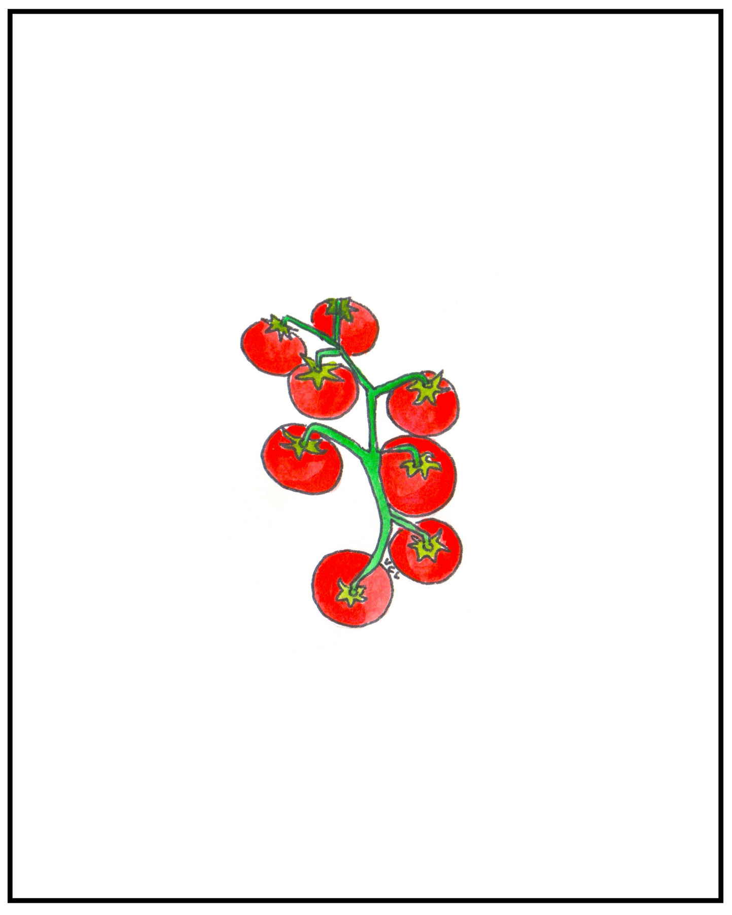 Tomatoes