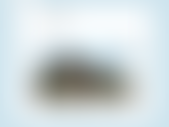 Giá trị khác biệt kiến tạo nên căn hộ Wren Vancouver