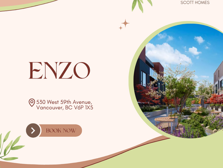 Enzo – dấu ấn Careston nâng tầm phong cách