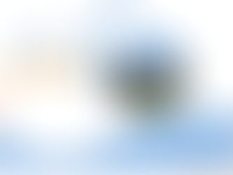 Kinh nghiệm bố trí căn hộ mới cho gia đình bạn (P2)