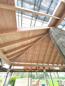 Exposed douglas fir rafters, and sarking.