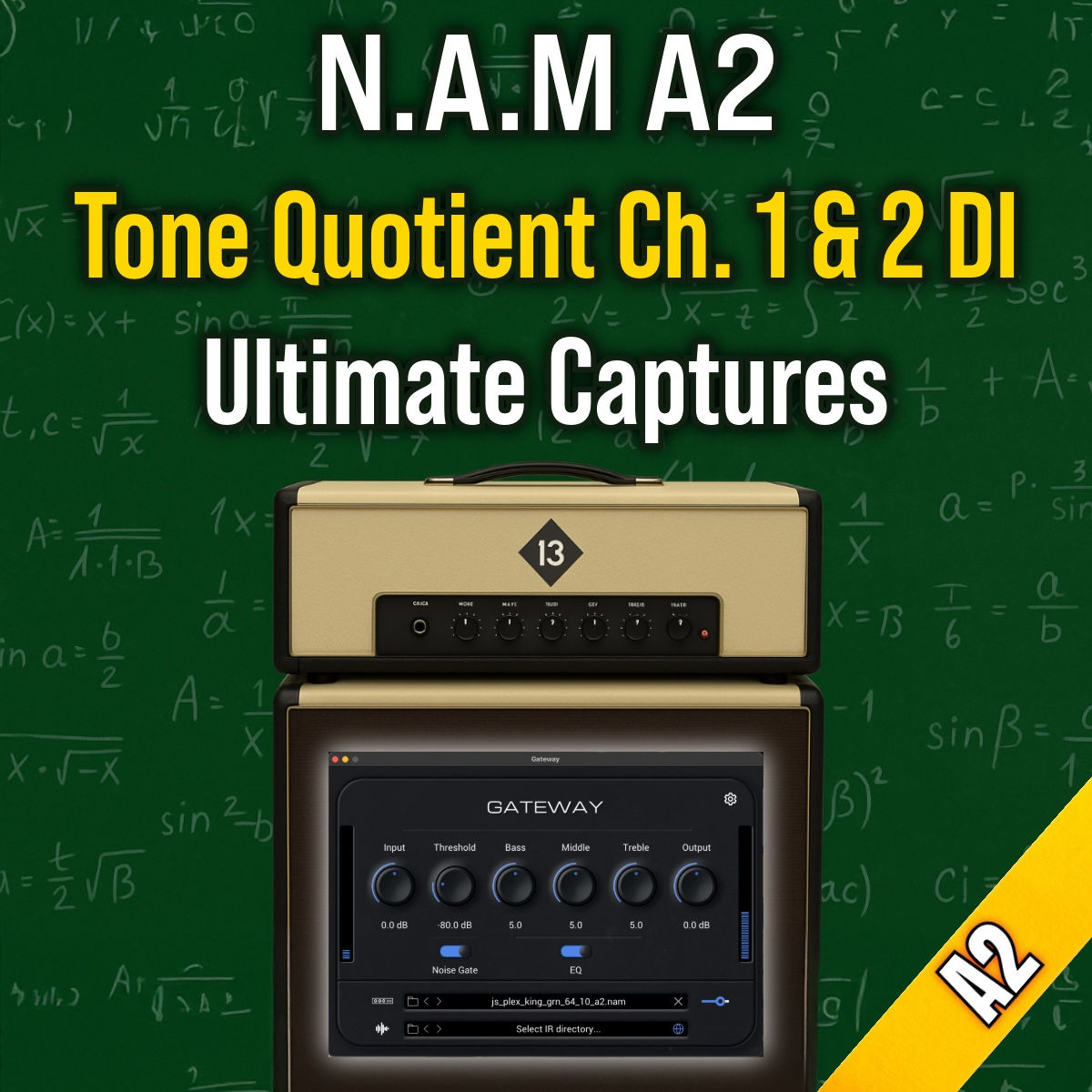 N.A.M - Tone Quotient Ch. 1 and 2 DI Ultimate Captures Bundle