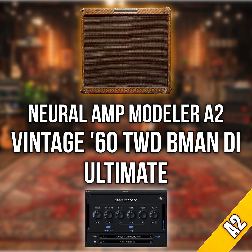 Thumbnail: N.A.M - Vintage '60 Twd BMan DI Ultimate Captures