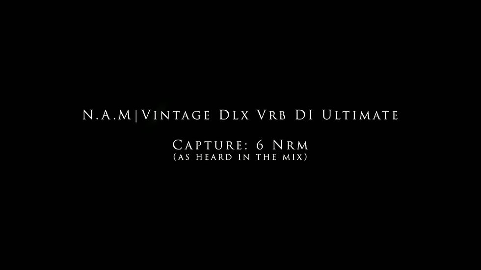 Thumbnail: N.A.M - Vintage Dlx Vrb DI Ultimate Captures