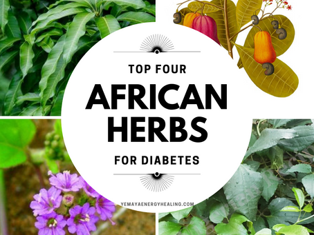 Top 4 African Folk Medicinals for Diabetes