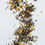 Thumbnail: Mango Genmaicha Green