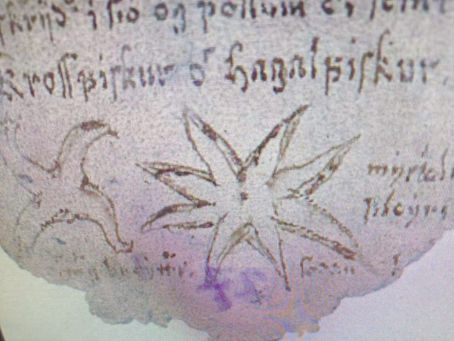 Runes of Jón Guðmundsson lærði. Rúnalist Jóns lærða
